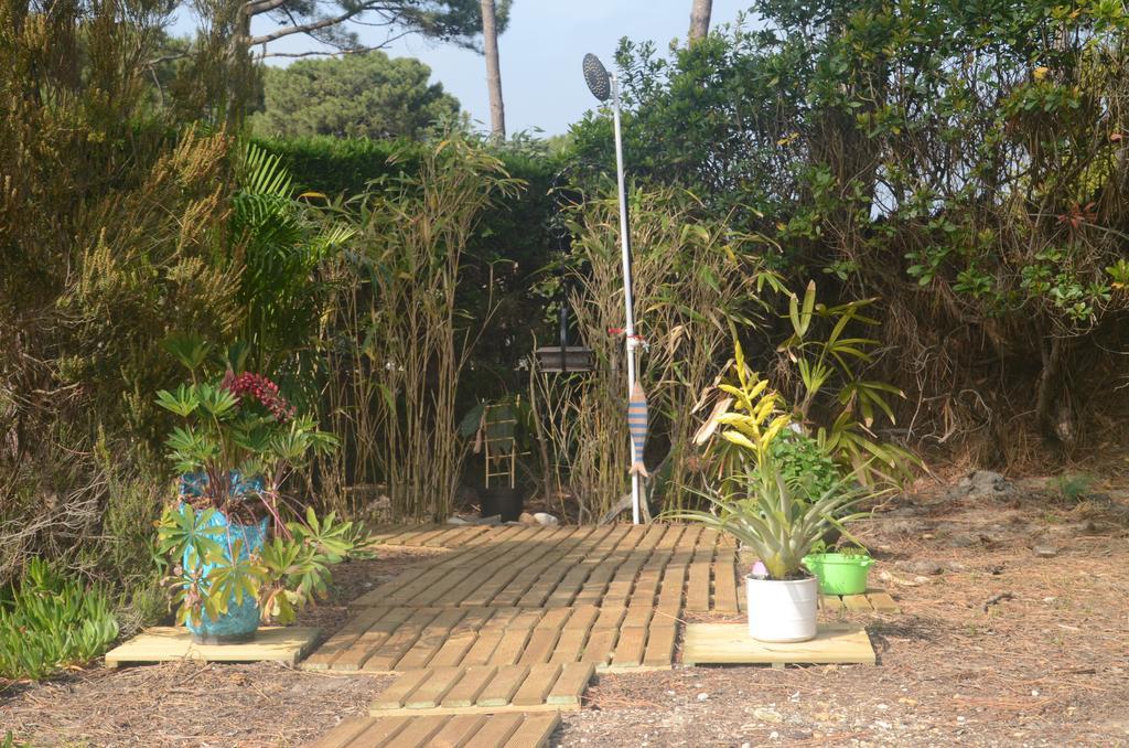 Villa Sunshine 비스카로스 플라주 외부 사진